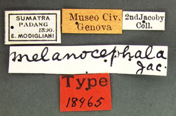 Media type: image;   Entomology 18465 Aspect: labels